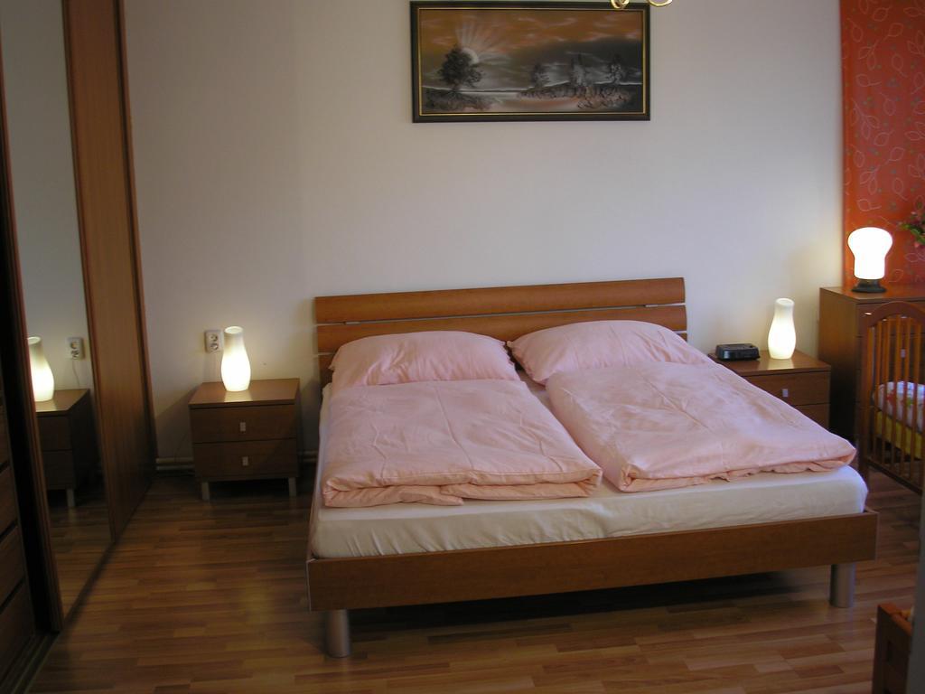 Vacation Apartment Up To 10 布拉迪斯拉发 客房 照片